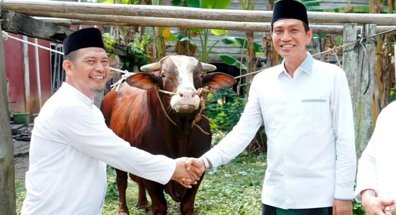 foto slider headline